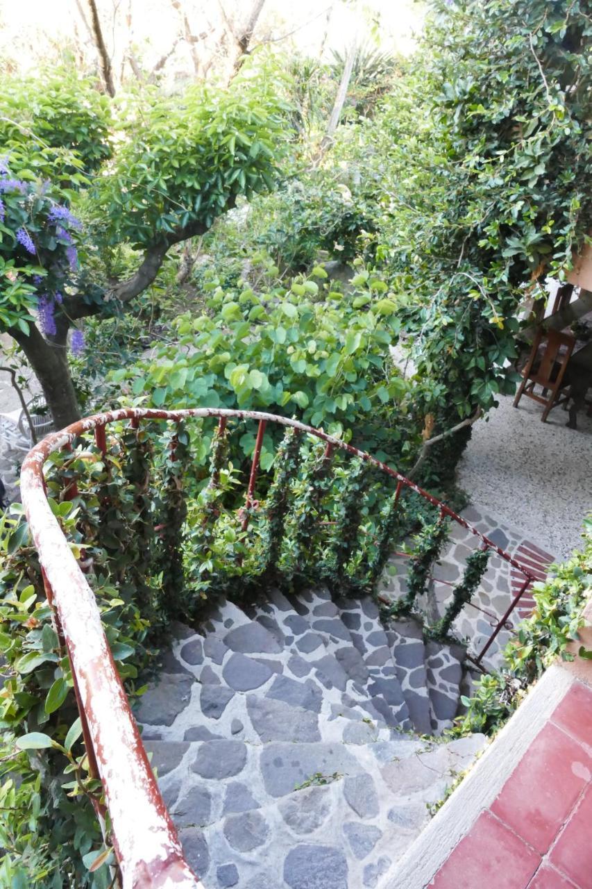 Hotel Y Restaurante La Casa Rosa サンタ・クルス・ラ・ラグナ エクステリア 写真
