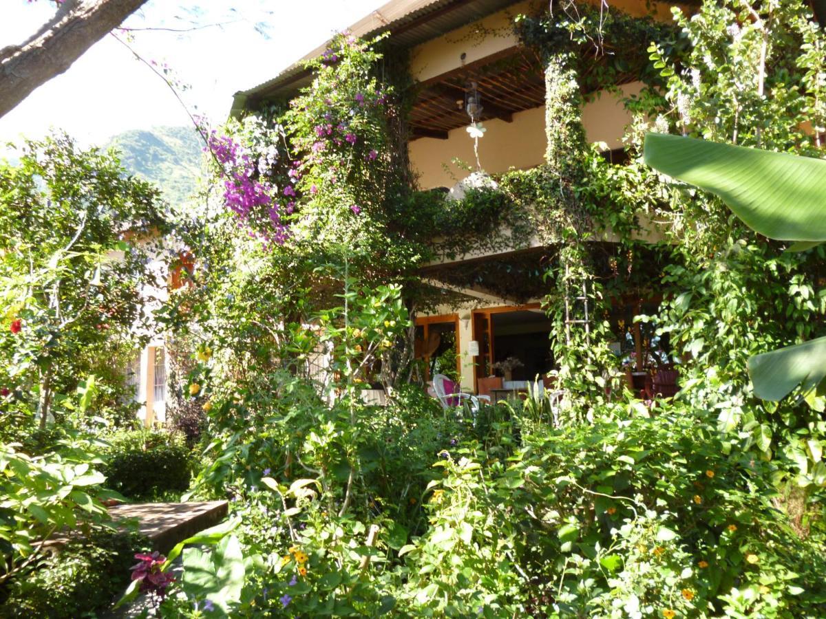 Hotel Y Restaurante La Casa Rosa サンタ・クルス・ラ・ラグナ エクステリア 写真
